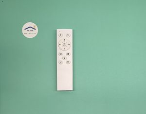 ریموت